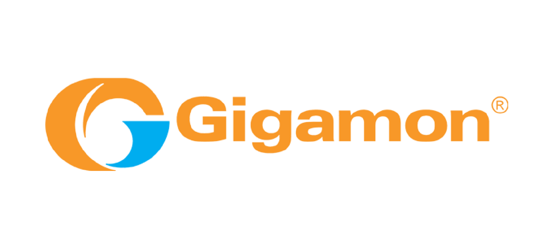 Logo Gigamon